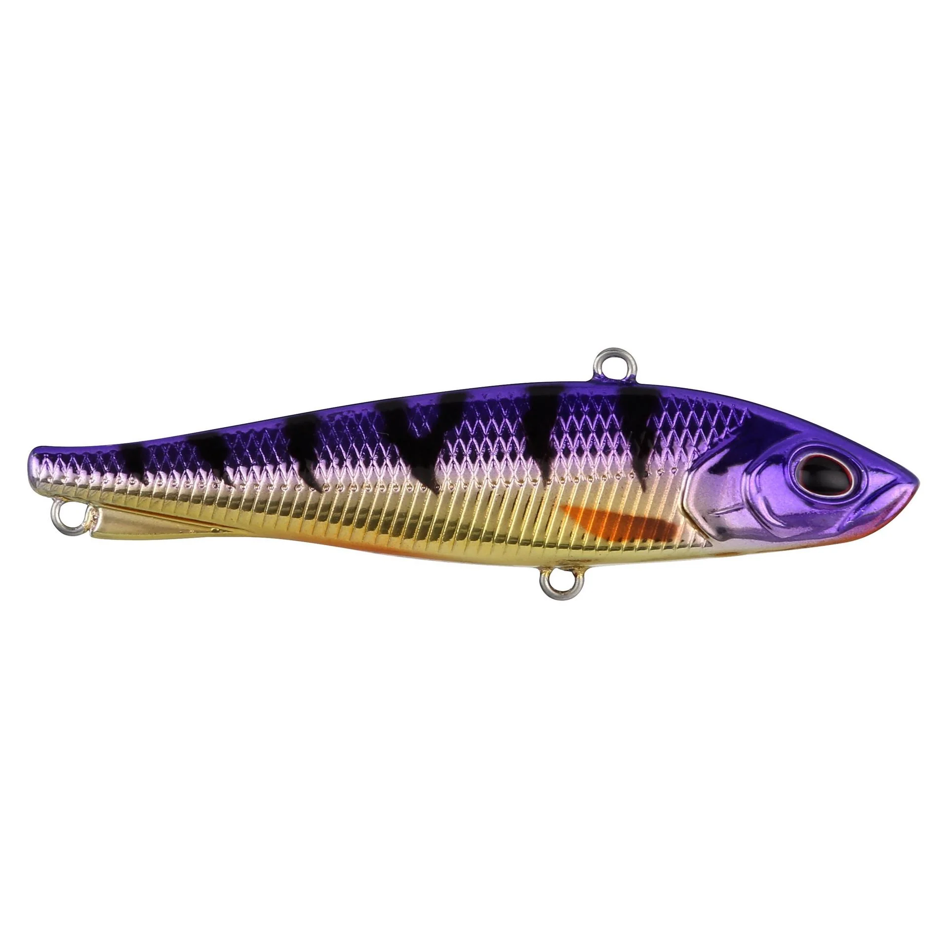 Ripfish - Image 47