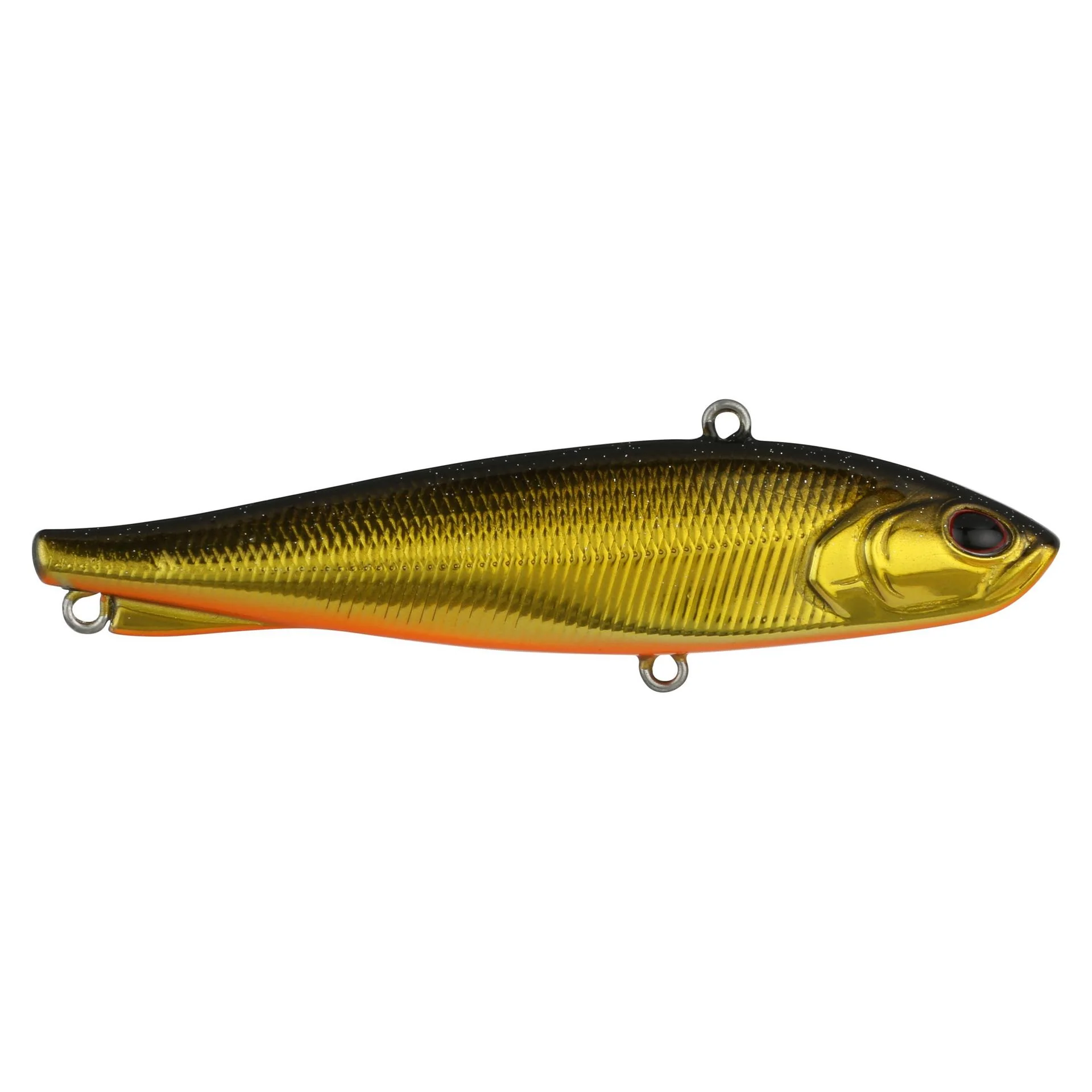 Ripfish - Image 49