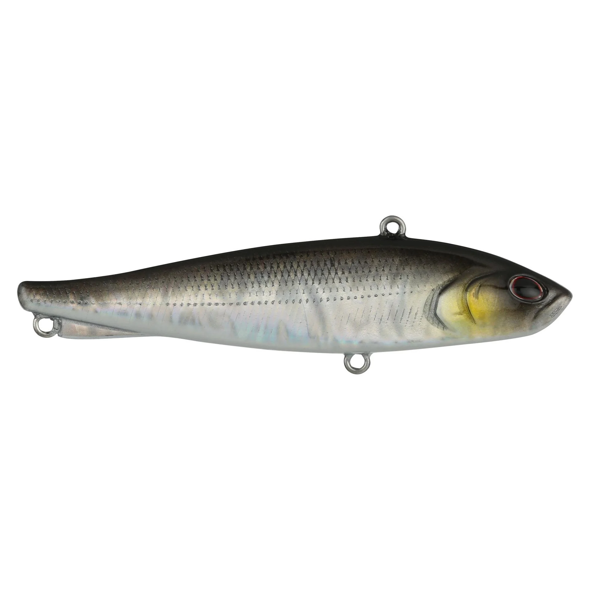 Ripfish - Image 50