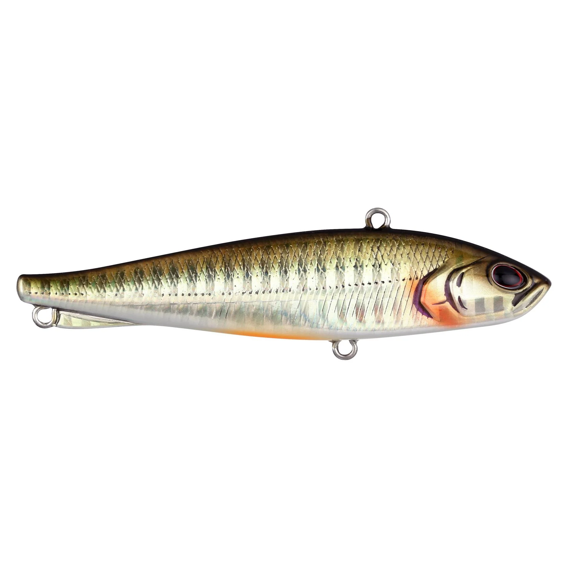 Ripfish - Image 55