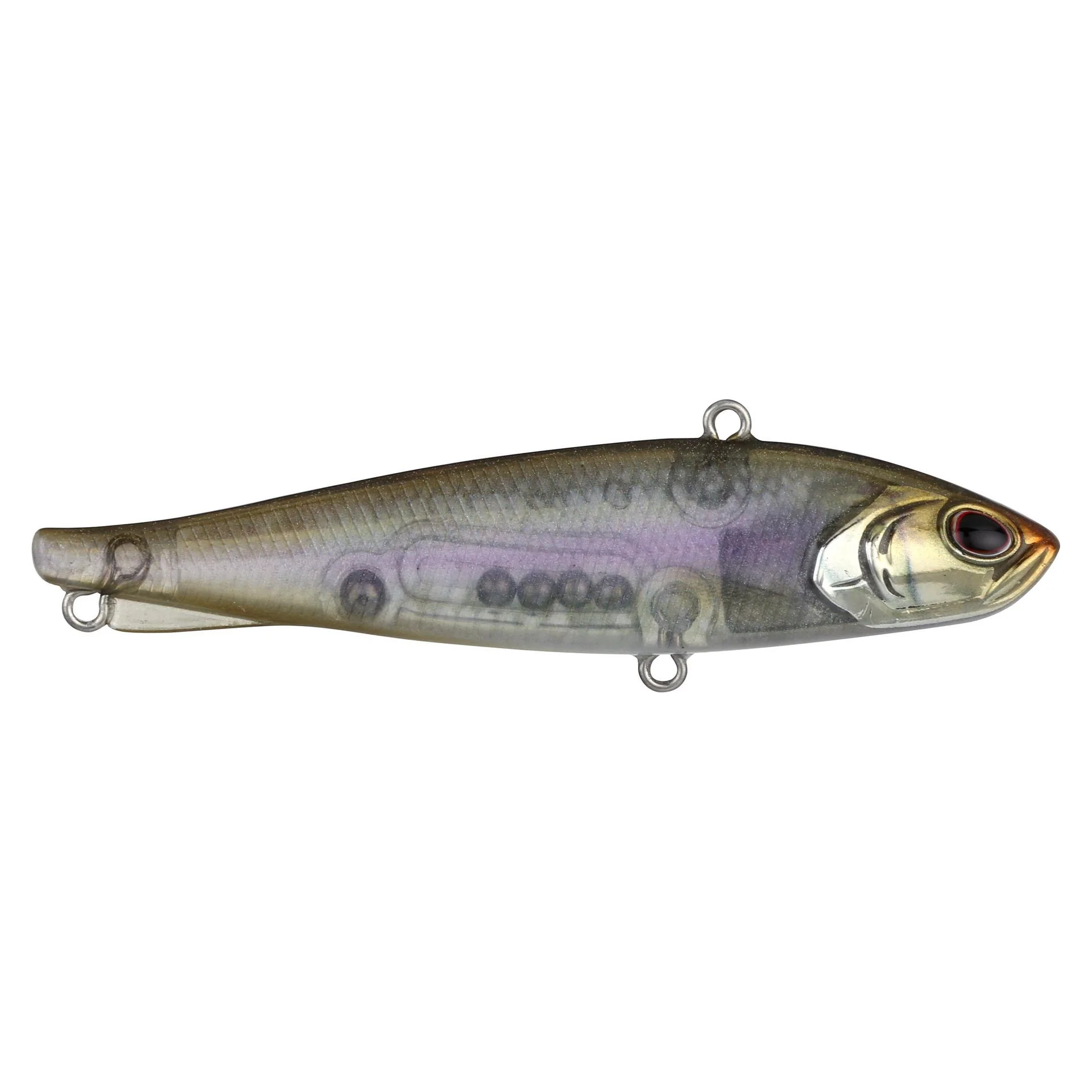 Ripfish - Image 61