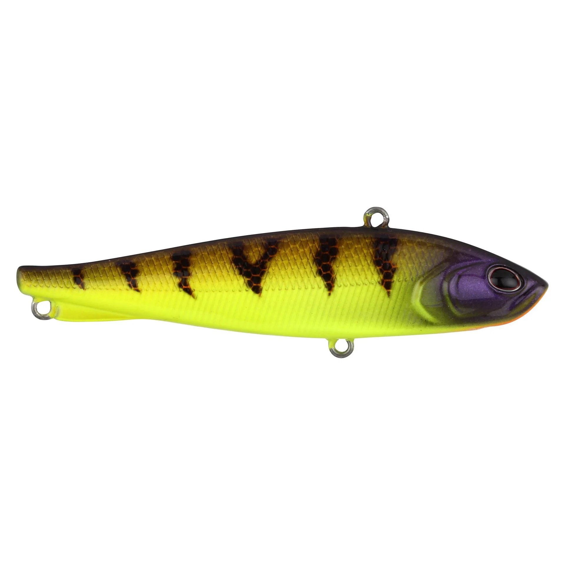 Ripfish - Image 63