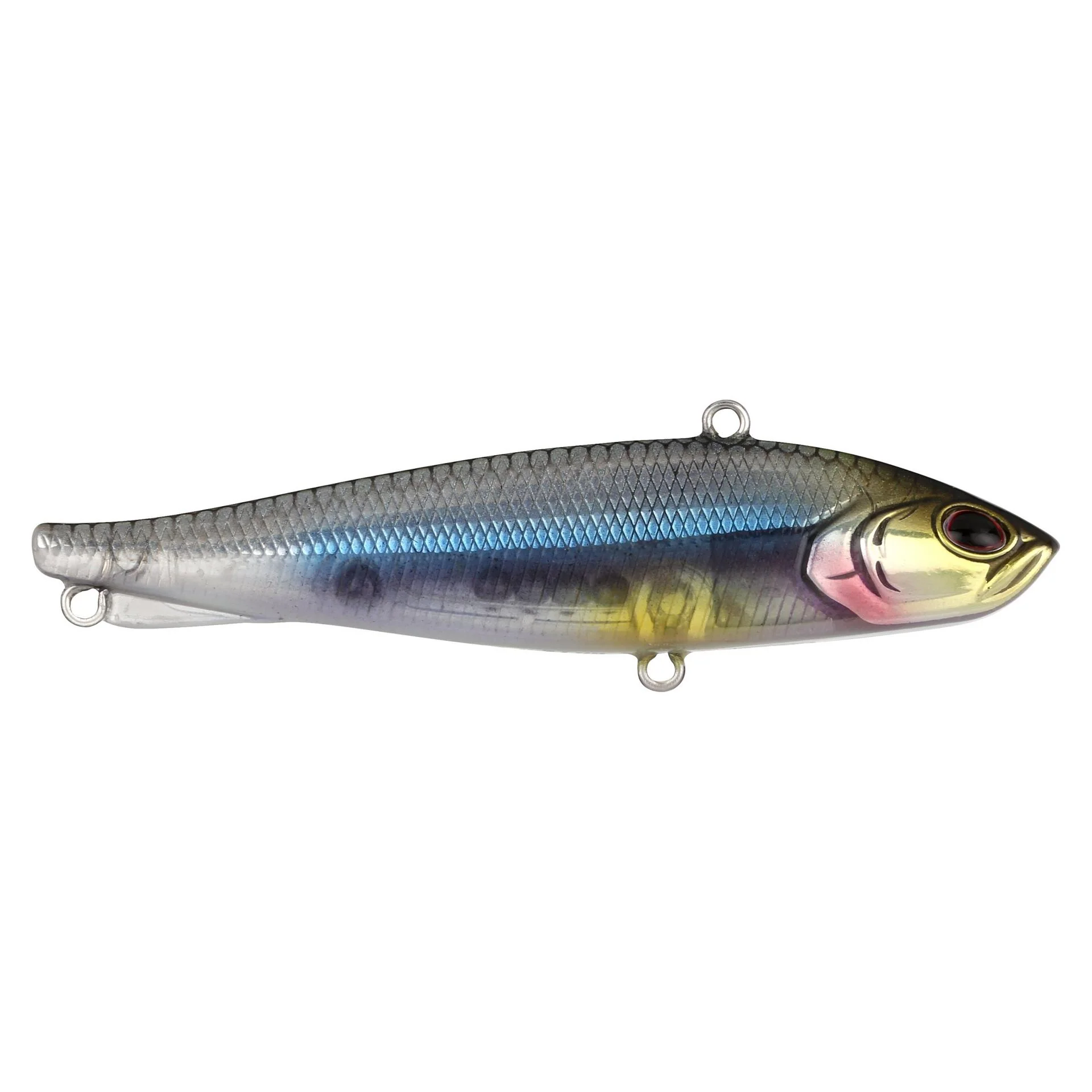 Ripfish - Image 64