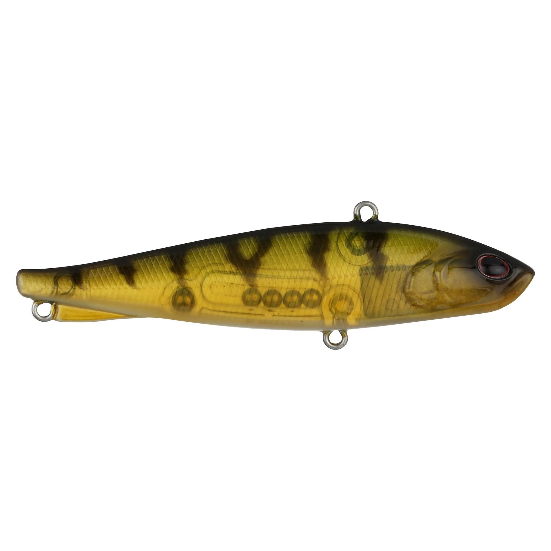 Ripfish - Image 66