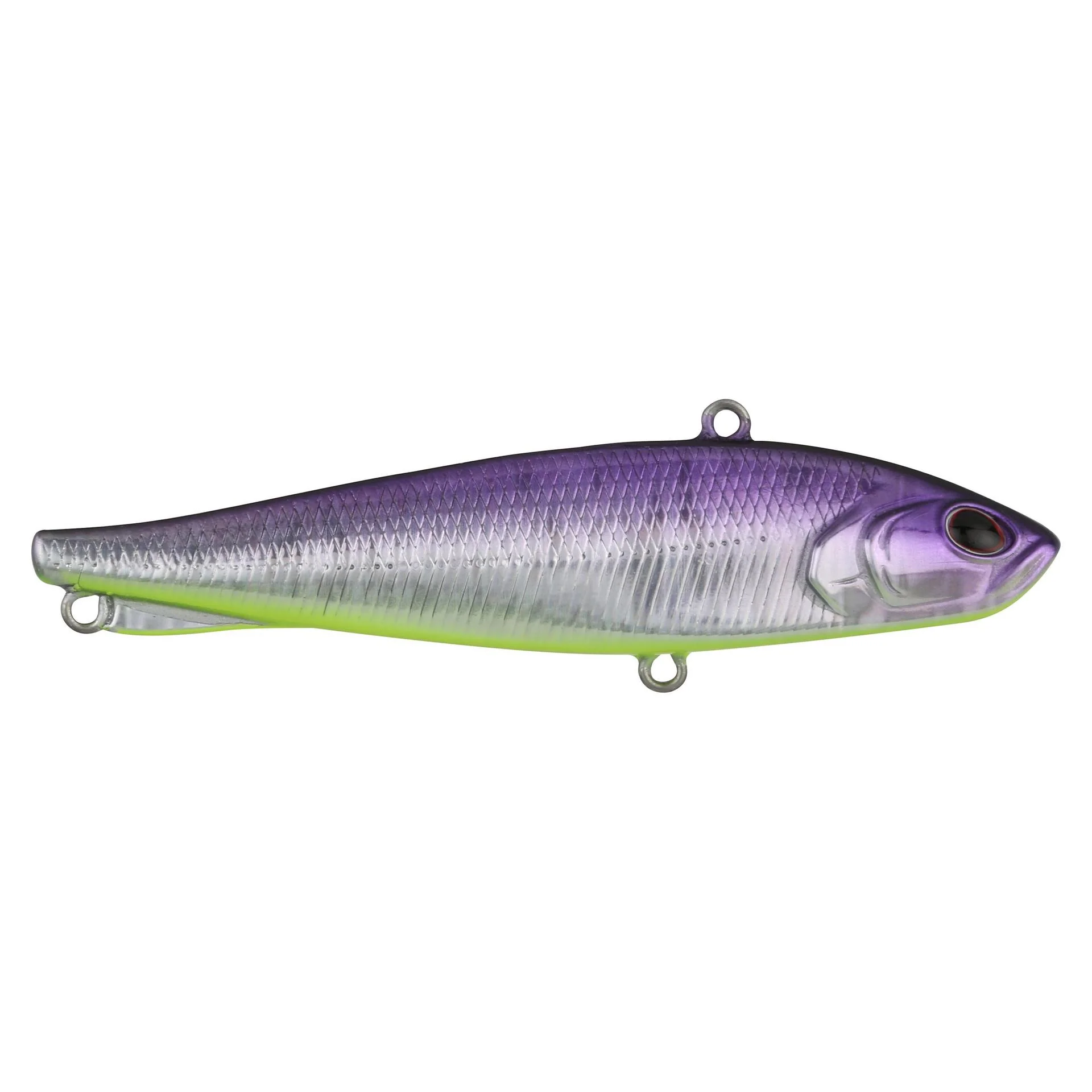 Ripfish - Image 69