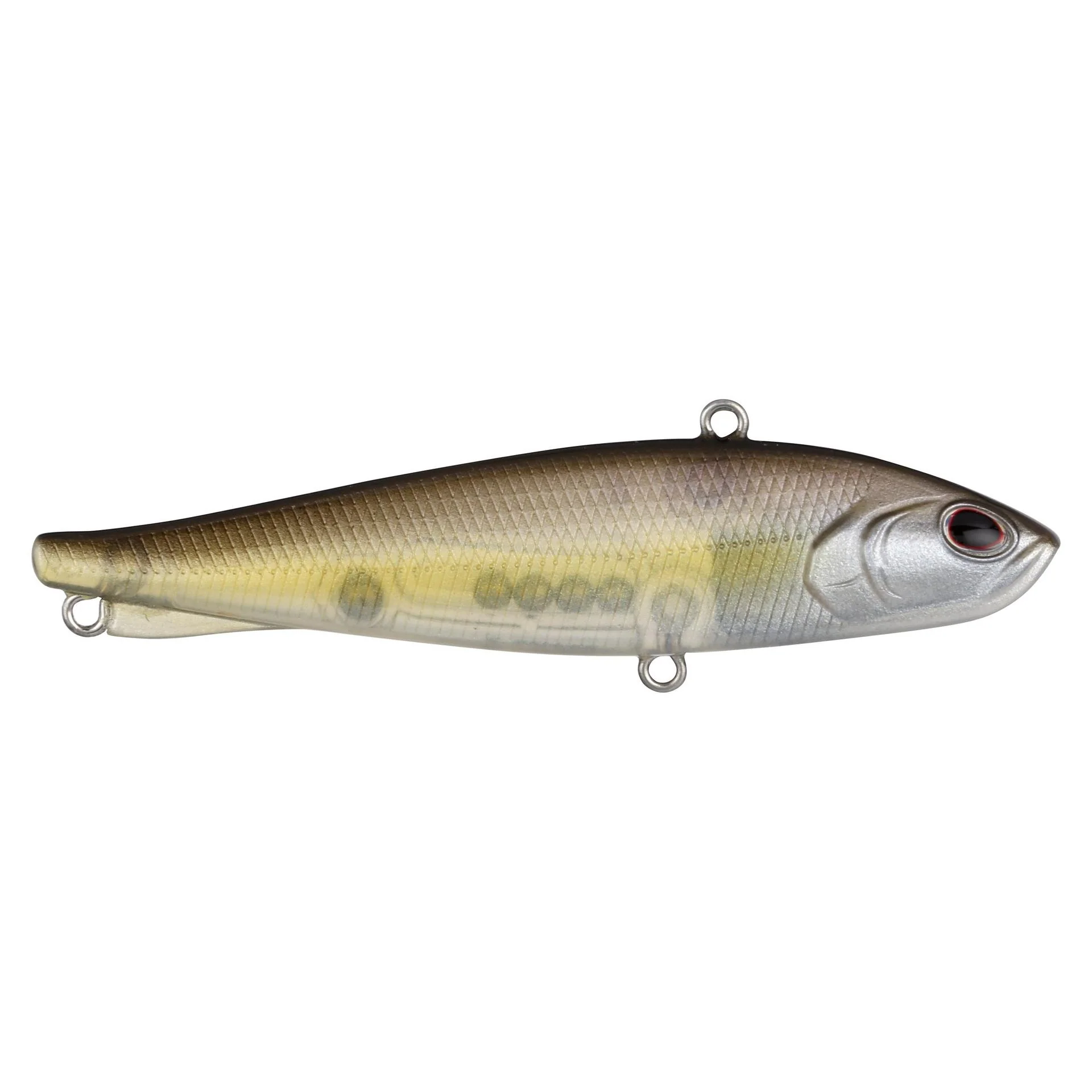 Ripfish - Image 70