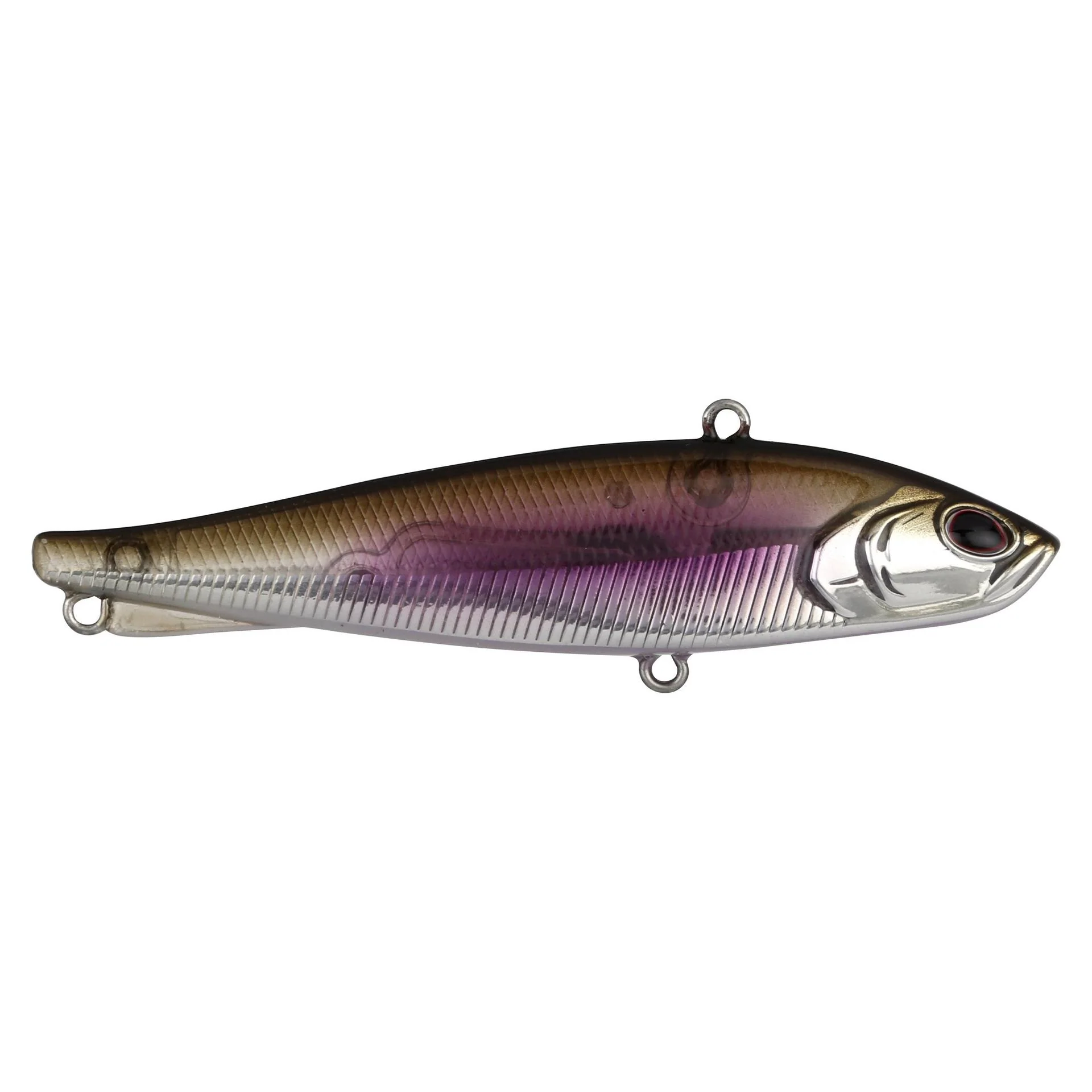 Ripfish - Image 72