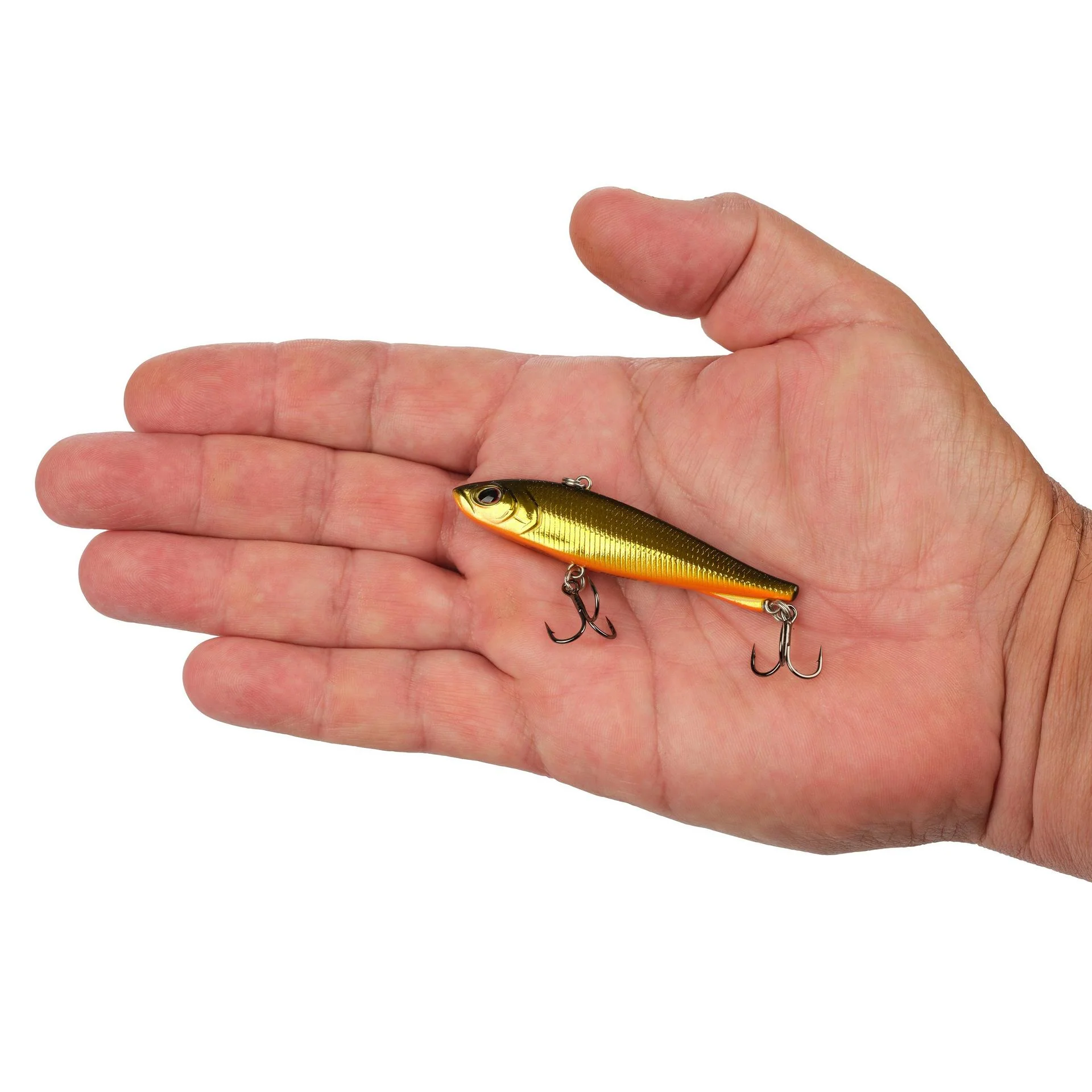 Ripfish - Image 74