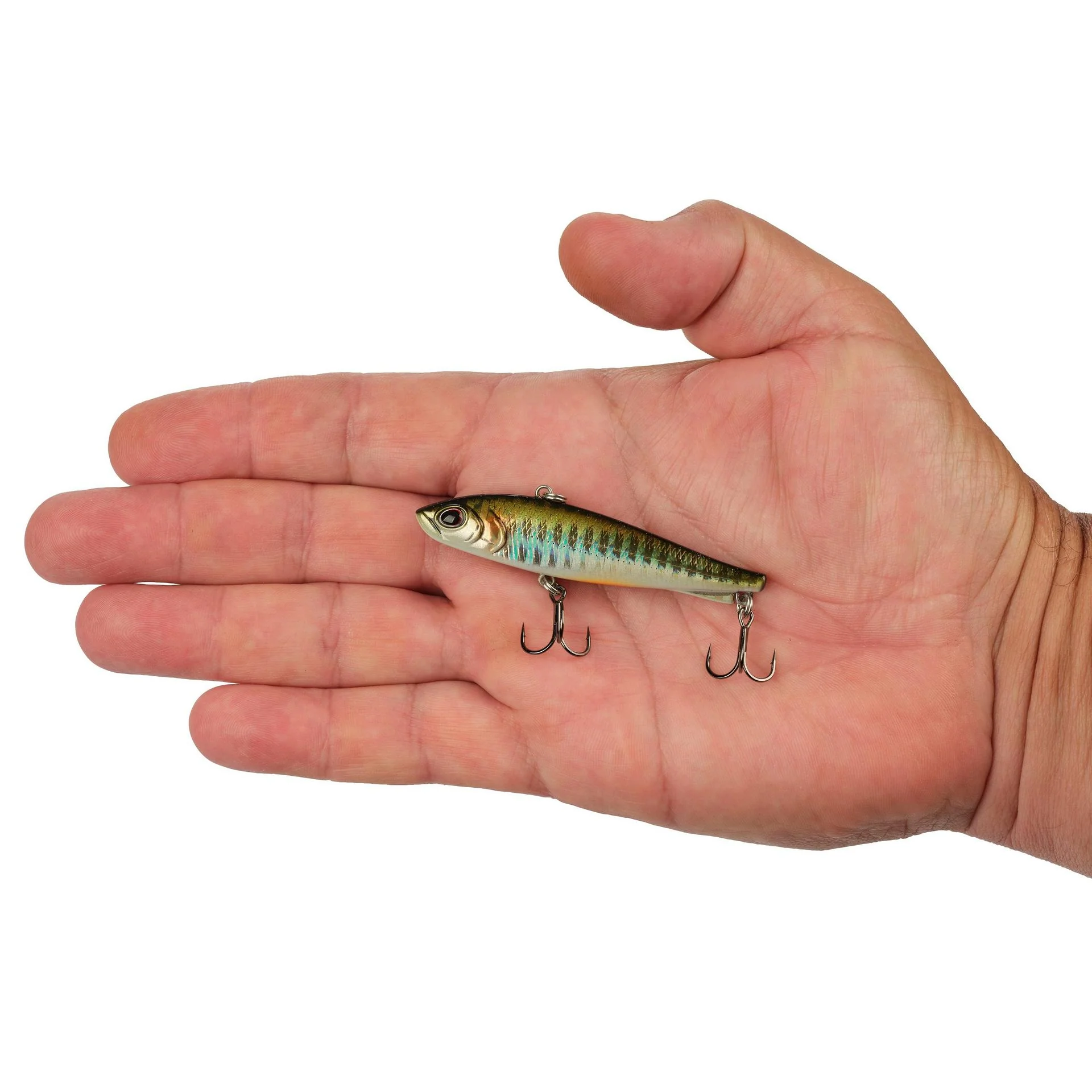 Ripfish - Image 92