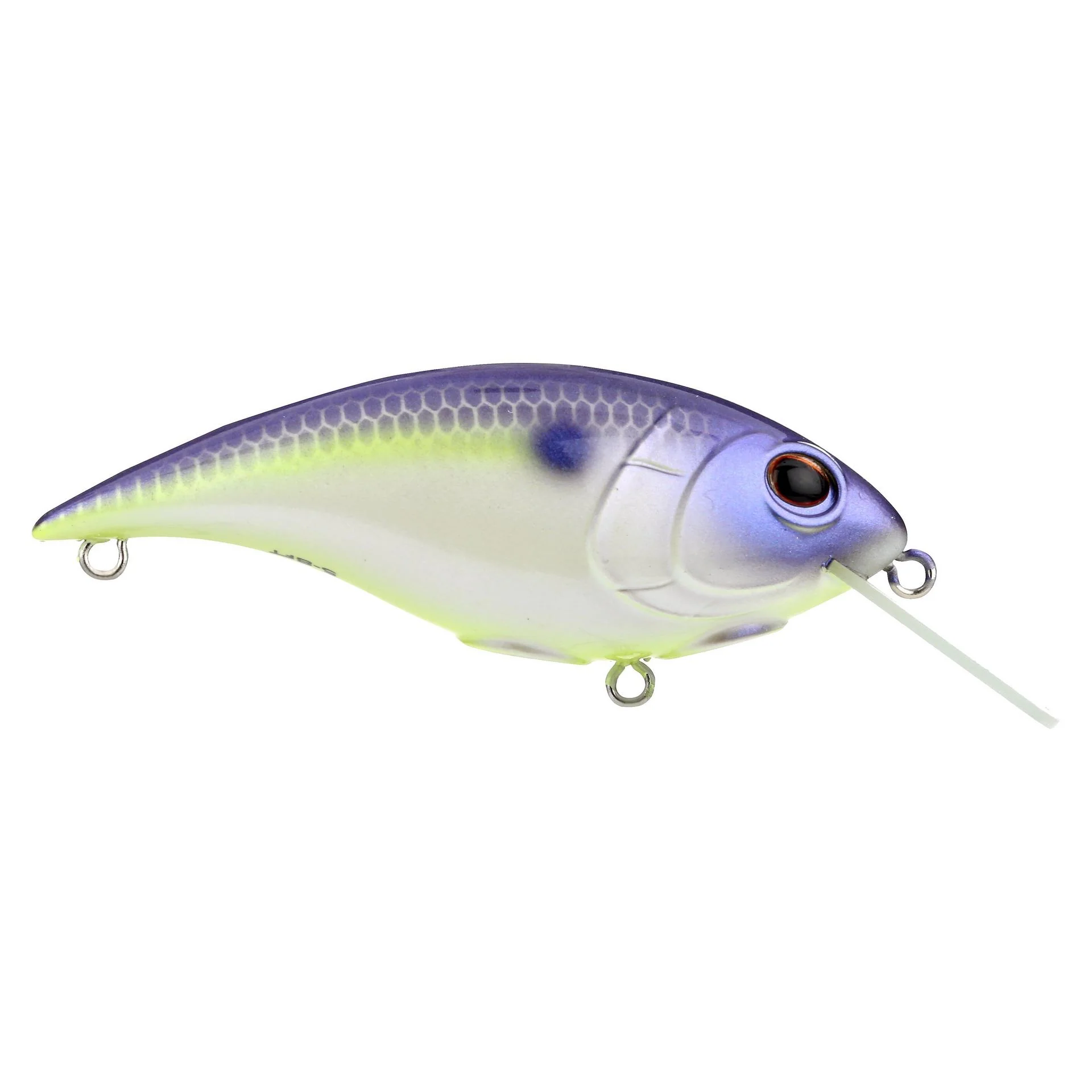 Shallow Money Badger - Image 105