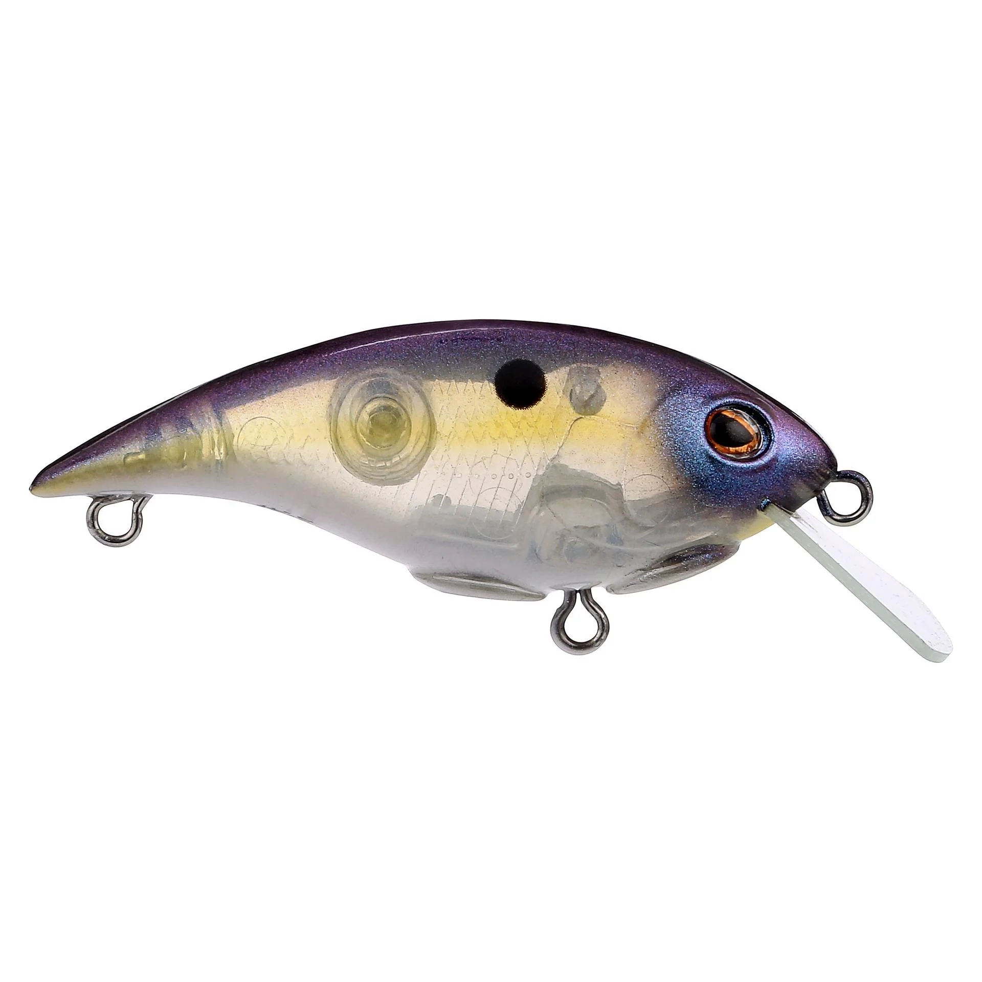 Shallow Money Badger - Image 131