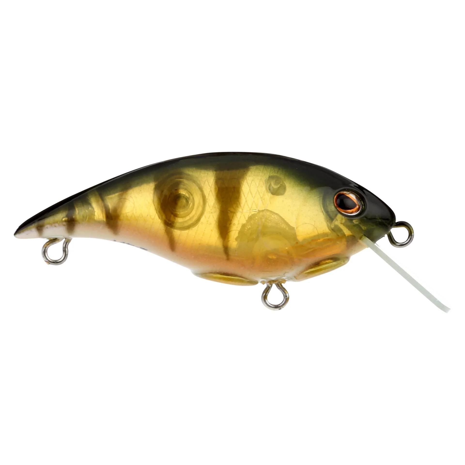 Shallow Money Badger - Image 15