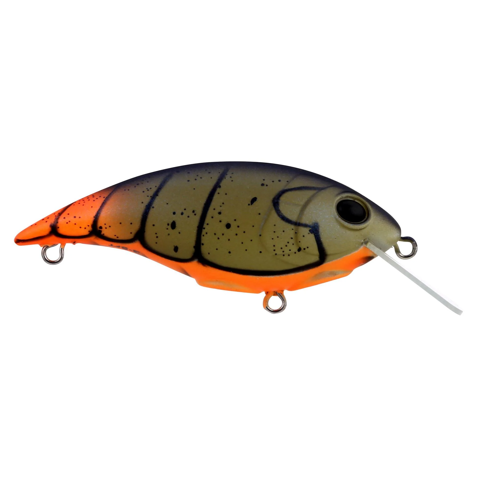 Shallow Money Badger - Image 28