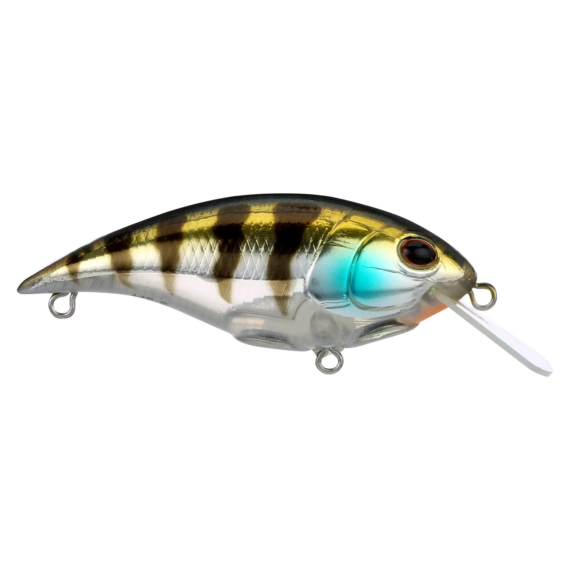 Shallow Money Badger - Image 30