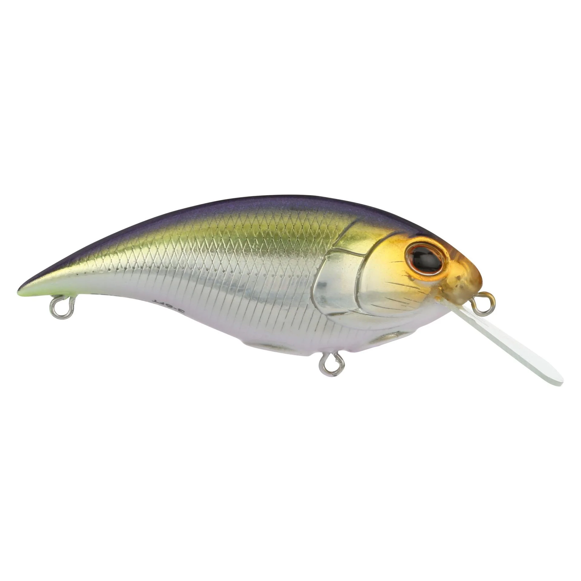 Shallow Money Badger - Image 58